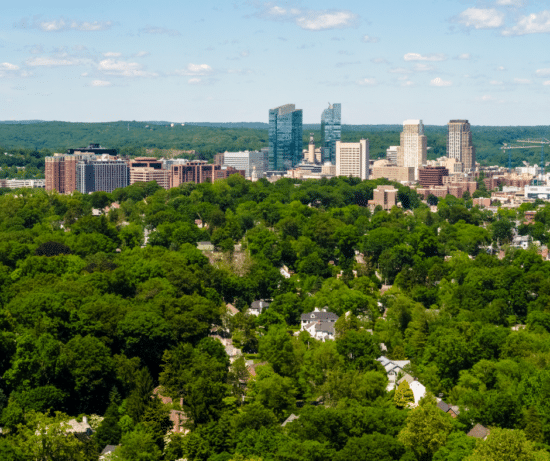 Westchester personal injury lawyers. image of trees and city buildings