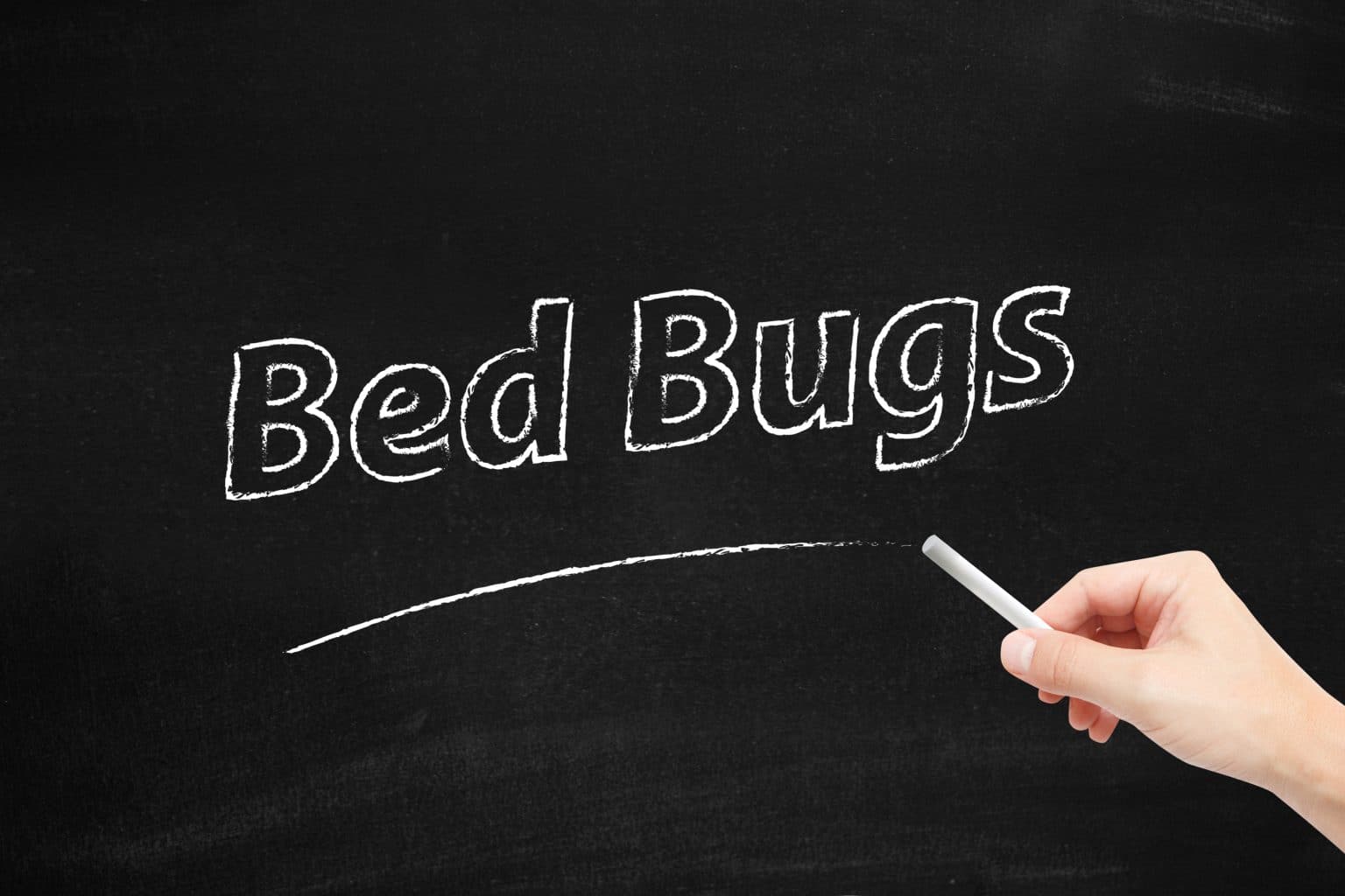 Can You Sue a Hotel for Bed Bugs?